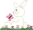 bunny with butterfly graphic